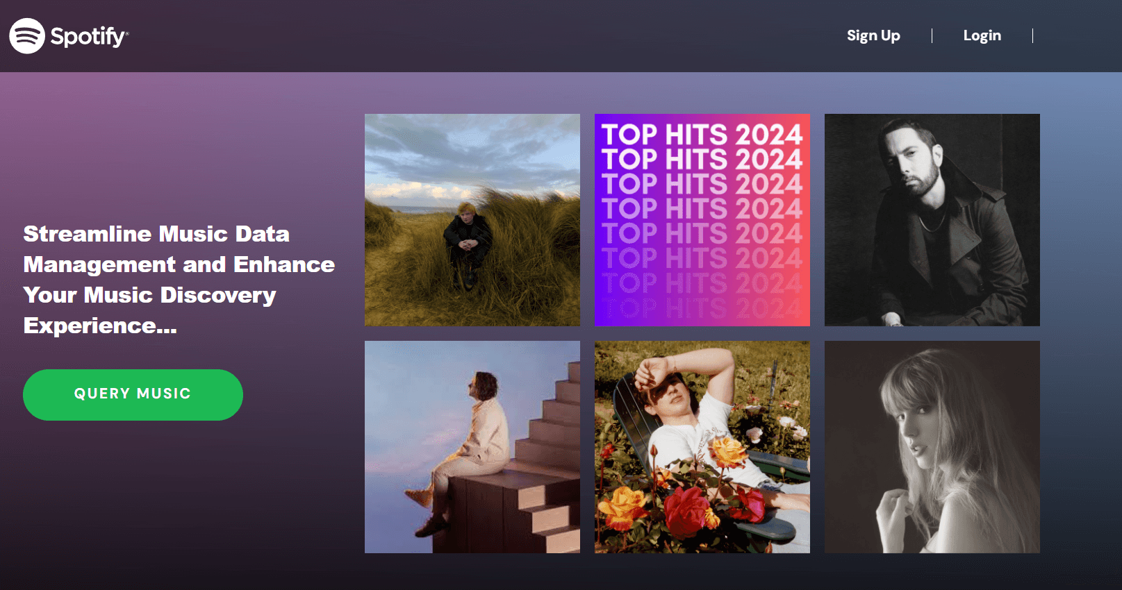 Spotify DBMS screenshot