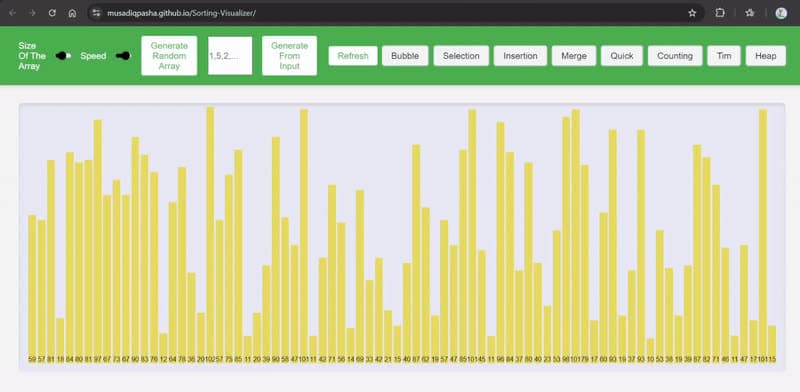 Sorting Visualizer screenshot
